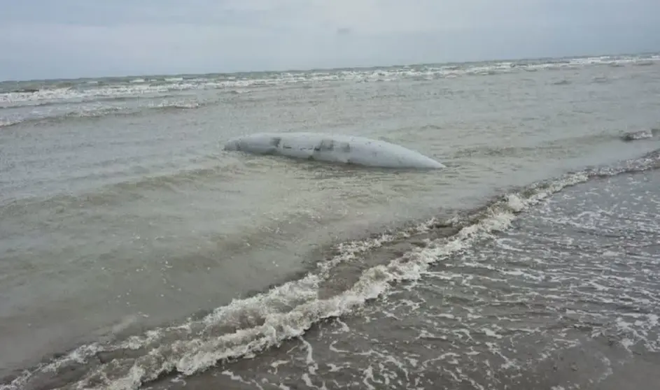 Media outlet affiliated with IRGC’s special unit accuses Azerbaijan following reported finding in the Caspian Sea